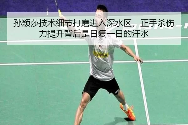 sun-ying-sha-ji-shu-xi-jie-da-mo-jin-ru-shen-shui-qu-zheng-shou-sha-shang-li-ti-sheng-bei-hou-shi-ri-fu-yi-ri-de-han-1-231.jpg